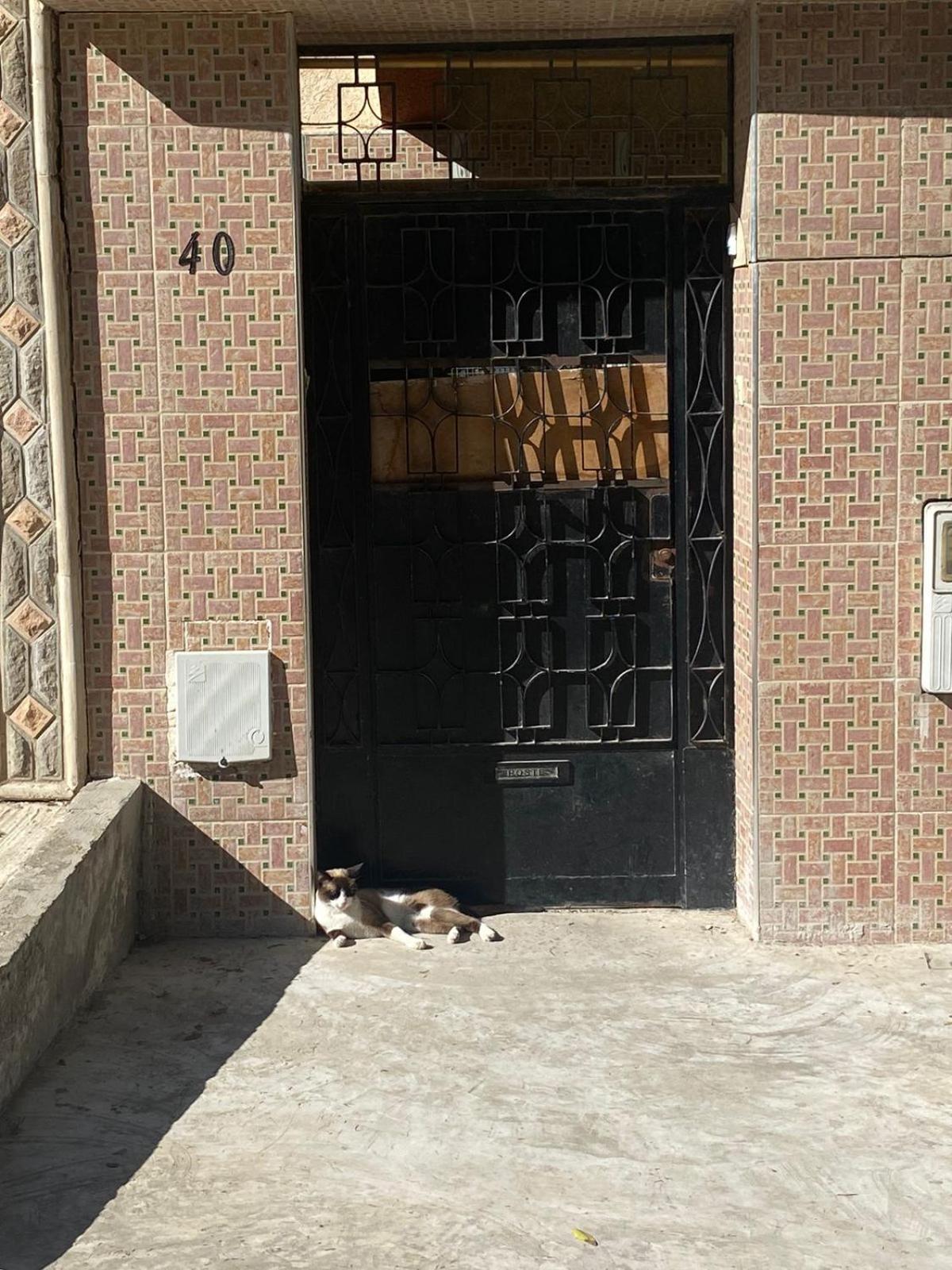 Dar Shamsy Hotel Souani  Exterior foto